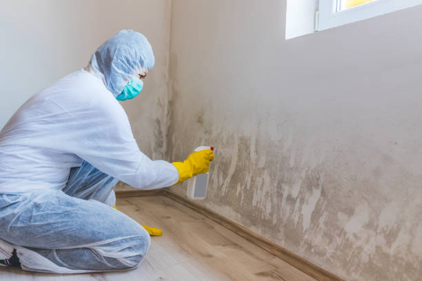Bathroom Mold Removal assessment in Gladwyne bathroom